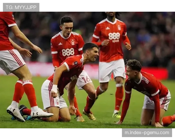 诺丁汉森林西汉姆同积28分,保级生死战进入最后冲刺