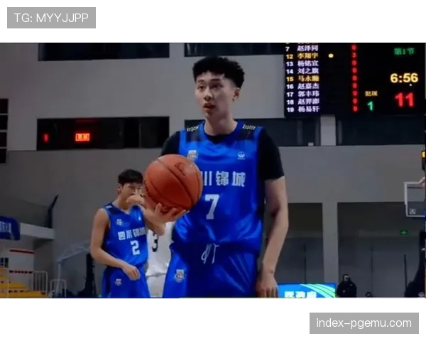 四川男篮财务危机致阵容动荡 苏若禹成为窗口期唯一自由球员 四川男篮财务危机致阵容动荡 苏若禹成为窗口期唯一自由球员