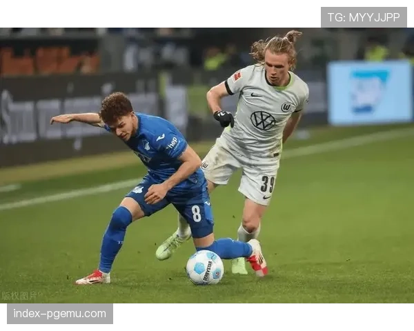 霍芬海姆全队身价2.43亿，高效团队配合冲击欧冠区